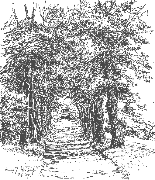 Addison's Walk.gif (63838 bytes)