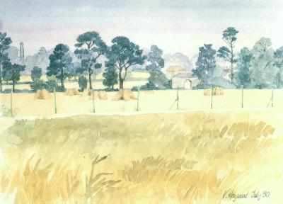 carysfort.jpg (19862 bytes)